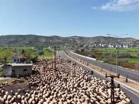 Göçerlerin zorlu yolculuğu dronla görüntülendi
