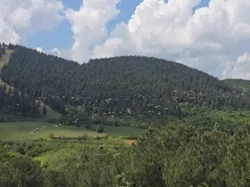 Gökyüzünde pelikan şöleni
