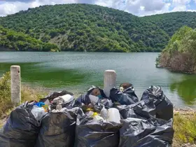 Göleti el birliğiyle temizlediler
