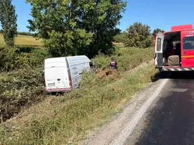 Gönen’de kontrolden çıkan panelvan sarmaşıkların arasına girdi
