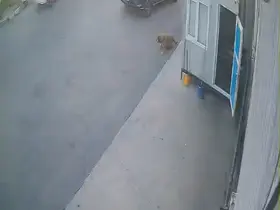Görenlerin içini sızlatan görüntü
