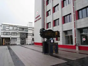 Gülistan Doku soruşturmasında 1 tutuklama daha geldi
