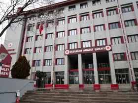 Gülistan Doku soruşturmasında tutuklu sayısı 36 oldu
