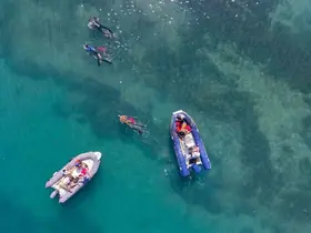 Gümbet’te deniz dibinden 310 kilogram atık çıktı
