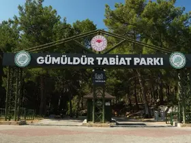 Gümüldür Tabiat Parkı 3 yıl aradan sonra kapılarını yeniden açtı
