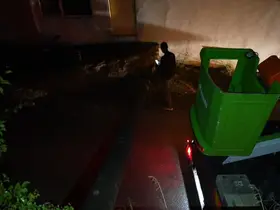 Gümüşhane’de elektrik direği 80 yaşındaki kadının evinin bahçesine devrildi

