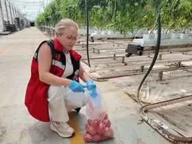 Güvenilir gıda için EKÜY çalışmaları sürüyor

