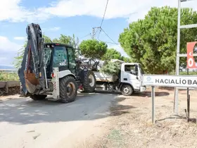 Hacıaliobası’nda yeşil alanlar yenilendi
