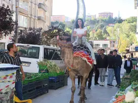 Hakkari’de deve ve midilli atları ilgi odağı oldu
