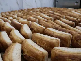 Haliliye’de glutensiz ekmek fırını binlerce vatandaşın ihtiyacına yanıt veriyor
