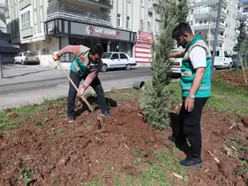 Haliliye’de yaz öncesi parklarda hummalı çalışma
