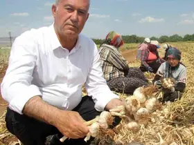 Hasan Altun’dan ’14 Mayıs Dünya Çiftçiler Günü’ mesajı
