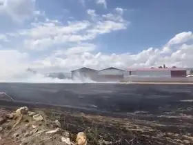 Hasat edilmiş buğday tarlasında çıkan yangın yerleşim yerlerine sıçramadan söndürüldü
