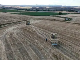 Hasat sonrası balya mesaisi başladı: Günlük kazanç 7 bin lirayı buluyor
