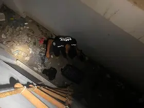 Hatay’da mahsur kalan hayvanlar kurtarıldı
