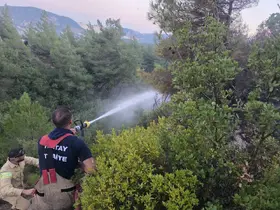 Hatay’da orman yangını çıktı
