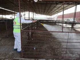 Hatay’da şap hastalığına karşı karasinek mücadelesi sürüyor

