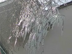 Hava sıcaklığı eksi 10’a düştü, ağaç dalları dondu
