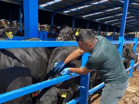 Hayvan sağlığı için işletmeler tek tek geziliyor
