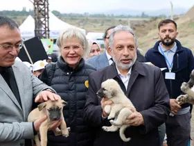 Hayvanları Koruma Günü, Talas Pati Evi Doğal Yaşam Alanı’nda kutlandı
