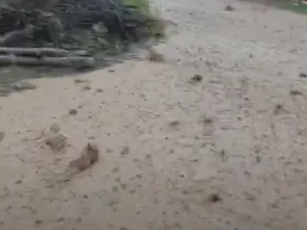 Hekimhan’da sağanak yağış sele neden oldu
