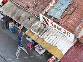 Her gün merdivene çıkıp çatıdaki kedileri besliyor

