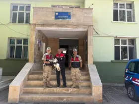 Hınıs’ta Toy kuşu yaralı olarak bulundu
