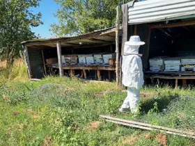 Hisarcık Karbasan köyünde arıcılık faaliyetleri denetlendi

