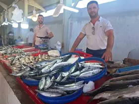 Hisarcık’ta vatandaşların en çok tercih ettiği balık türü palamut oldu
