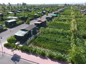 Hobi bahçesi ve orman düzenlemeleri komisyondan geçti