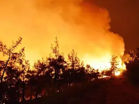 İran’da ki orman yangınlarına Türkiye'den yardım: 2 uçak gönderiliyor