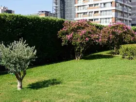 İçerisi şifa, dışarısı botanik bahçesi
