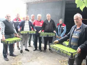 İnebolu’da 65 çiftçiye 88 bin 400 adet sebze fidesi dağıtıldı
