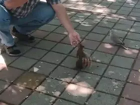İnegöl’de sincap ve kumruyu elleriyle besledi
