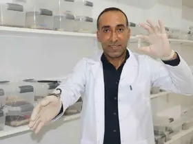 İnşaatçılıktan akrep zehri üretimine geçti, gramından on binlerce dolar kazanacak
