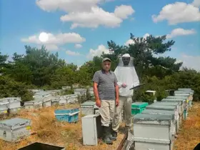 İscehisar’da arılı kovanların tespiti için saha çalışması
