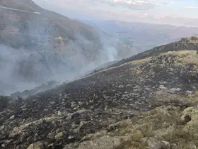 İspir’de orman yangını: Özel donanımlı arazöz ilk sınavını başarıyla verdi
