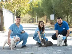 İzmir’de el konulan 20 cins köpek Işıkkent Köpek Bakımevi’nde
