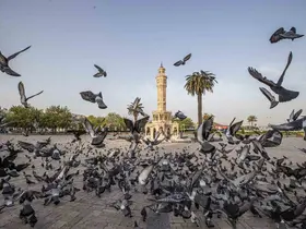 İzmir’in iklim deneyimi Avrupa’ya taşınacak

