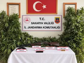 Jandarmadan 3 ilçede uyuşturucu operasyonu: 3 tutuklama
