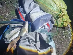 Kaçak balık avı yapan şahıslar fotokapana yakalandı
