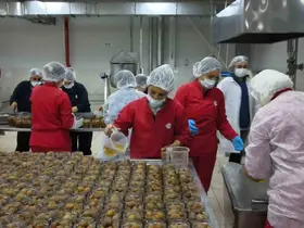 Kadın Emeği Tarımsal Ürün Fabrikası’yla yerel üretim dünyaya açılıyor
