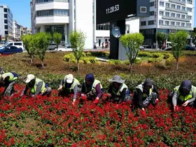 Kadınların emeğiyle Samsun çiçek açıyor
