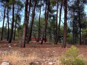 Kahramanmaraş’ta orman yangını
