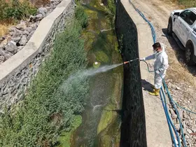 Kahramanmaraş’ta sivrisinek ve haşerelere karşı mücadele
