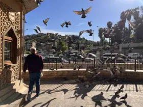 Kahramanmaraş’ta taksici esnafının yol arkadaşı güvercinler
