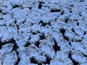 Kahramanmaraş’ta tarhana mesaisi
