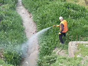 Kahta Belediyesi’nden haşerelere karşı yoğun mücadele
