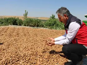 Kahta’da tarımsal mekanizasyon destekleri çiftçilere kazandırıldı
