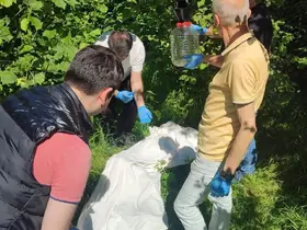 Kahverengi kokarcaya karşı samuray arısı seferberliği
